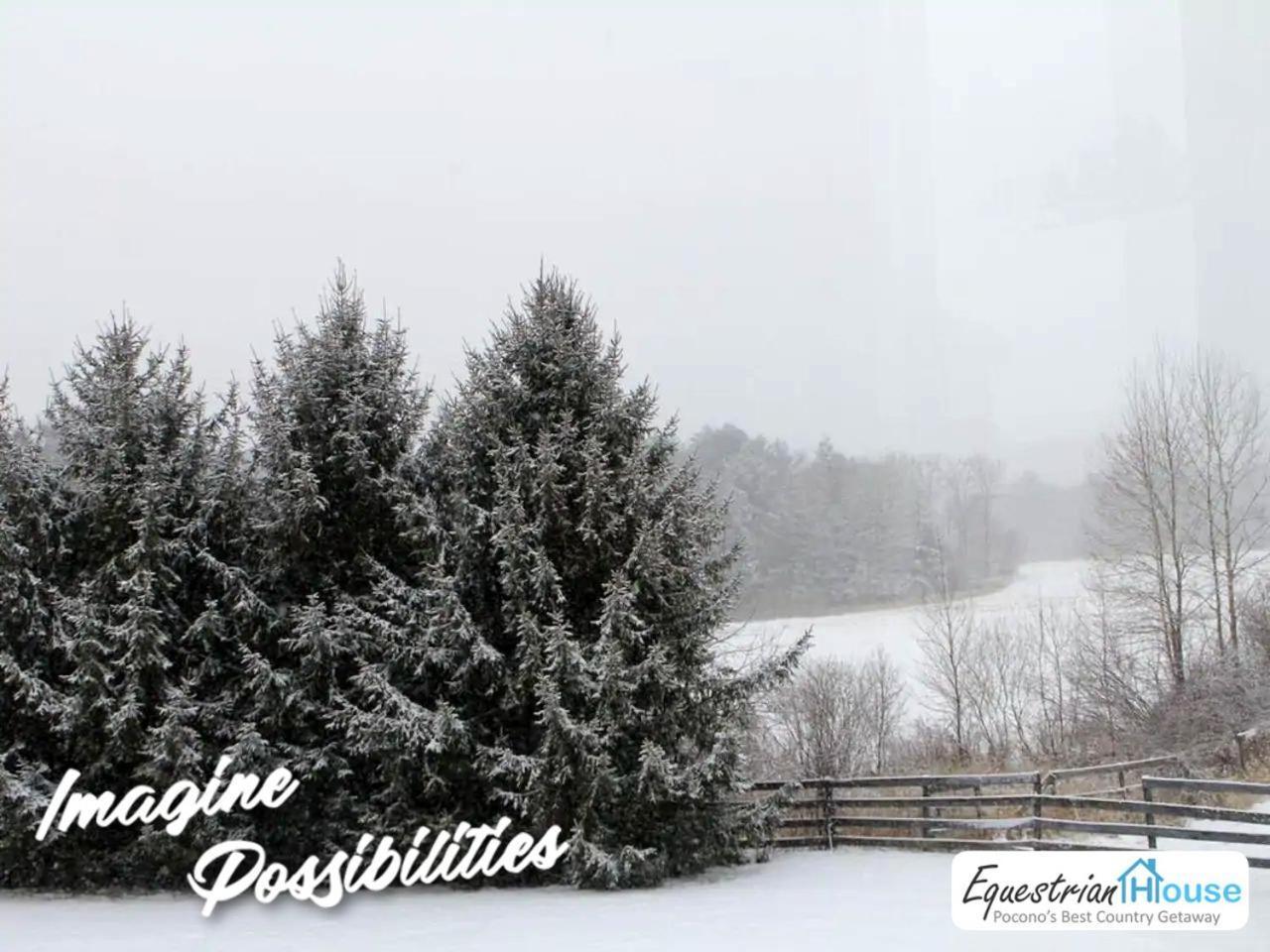Hotel Equestrian House